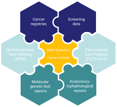 The Cancer Data Platform - Filière IA & Cancers